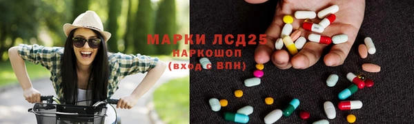 эйфоретик Бородино
