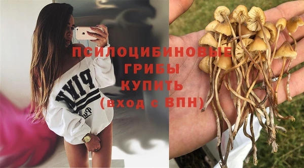 ALPHA-PVP Бугульма