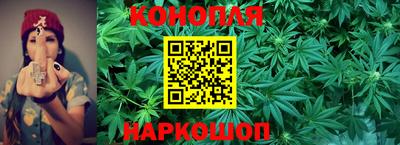 мяу мяу мука Боровичи