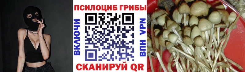 Галлюциногенные грибы MAGIC MUSHROOMS  магазин продажи   Великий Устюг 