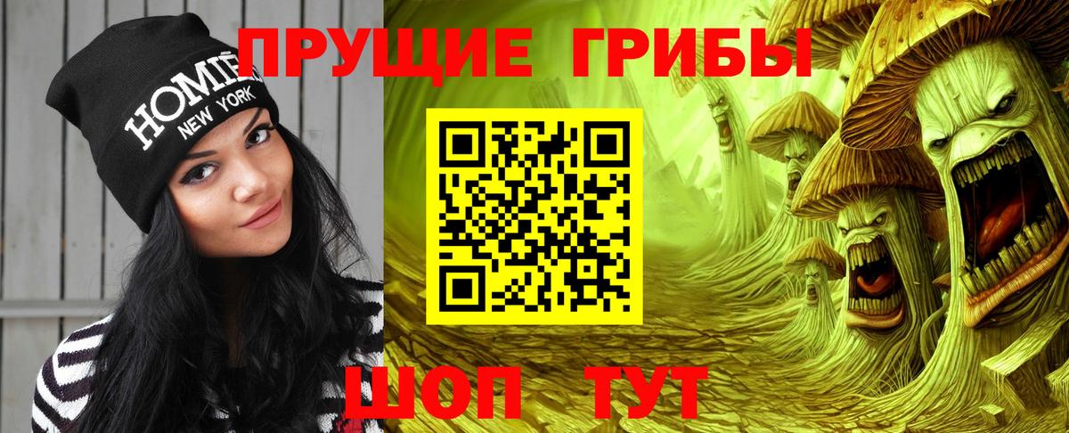 Псилоцибиновые грибы мухоморы Великий Устюг