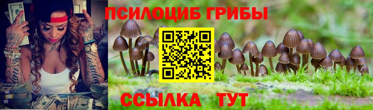 где купить наркотик  Вход с VPN  Великий Устюг  Псилоцибиновые грибы прущие грибы  Псилоцибиновые грибы Psilocybine cubensis 
